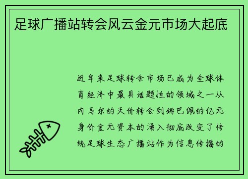 足球广播站转会风云金元市场大起底